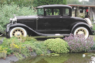 Don_Bower_Deluxe_Coupe